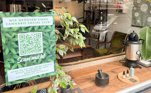 Будущие проблемы социальных каннабис-клубов