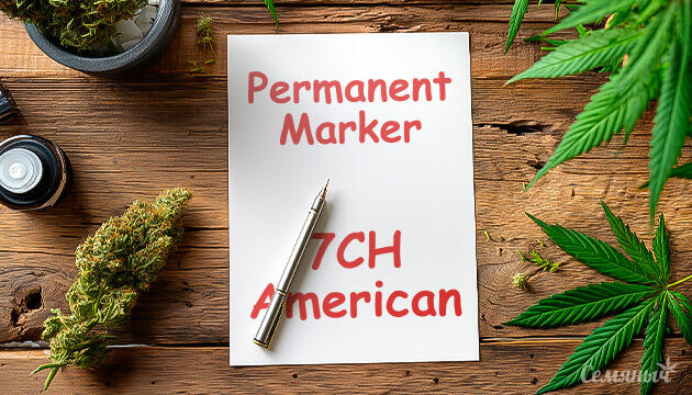 Гроурепорт сорта Permanent Marker от 7CH American