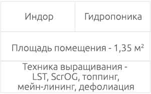 Условия и техники выращивания