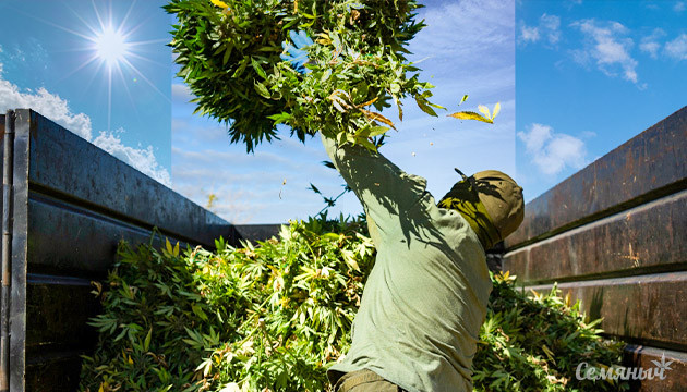 Сбор большого количества урожая за год