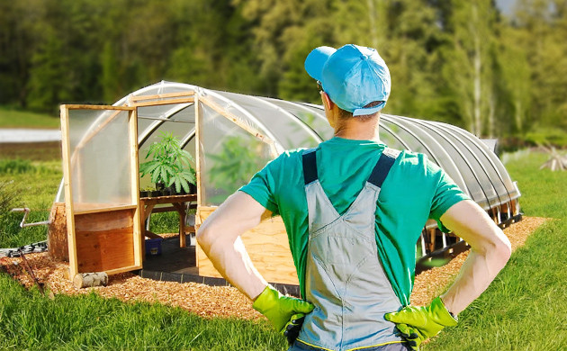 Каркас обтянутый плёнкой