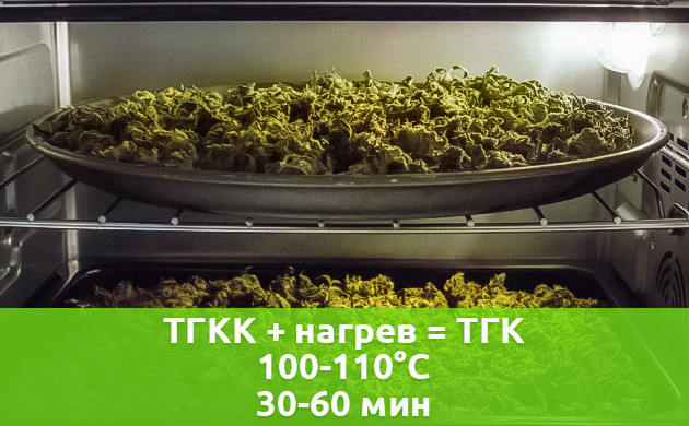 Ускоренная сушка соцветий в духовом шкафу