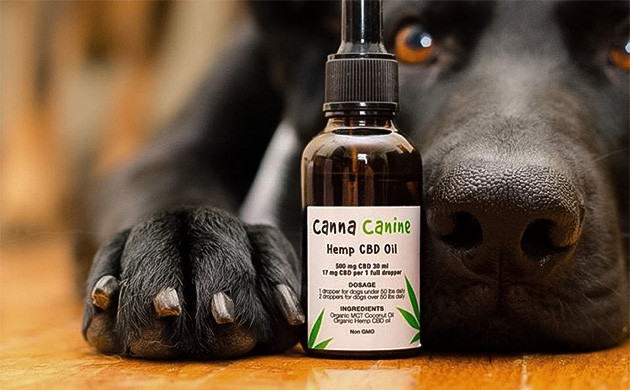 Cобака с маслом КБД