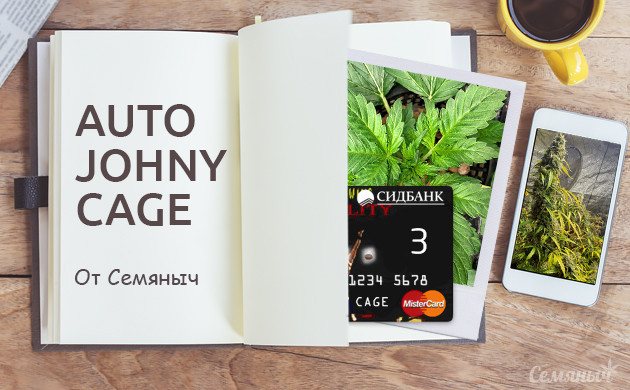 Выращивание сорта Auto Johnny Cage