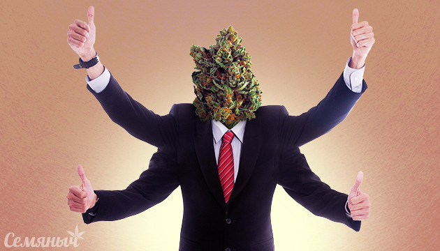 «Четыре ЗА» при выращивании конопли