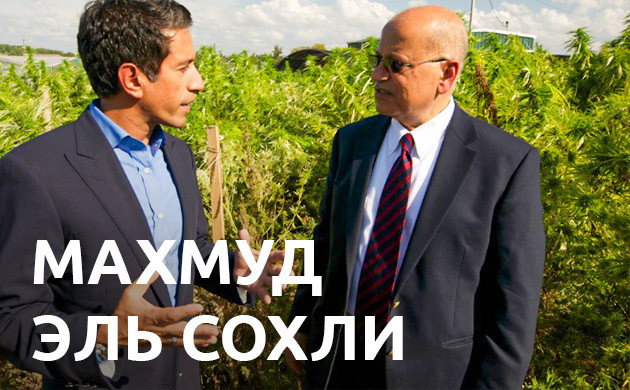 Махмуд Эль Сохли