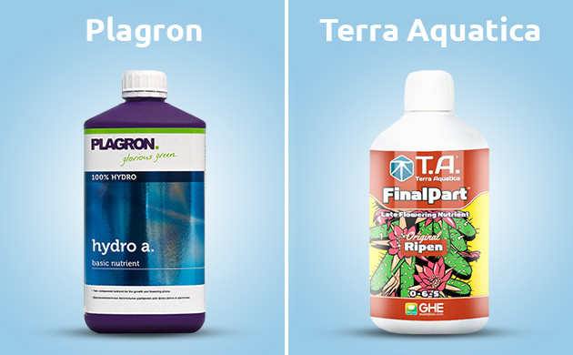 Удобрения для увеличения урожая автоцветов