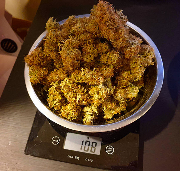 Сбор урожая Wedding Cake Auto