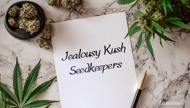 Гроурепорт сорта Jealousy Kush от Seedkeepers