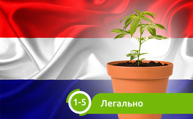 Легальное выращивание 1-5 кустов