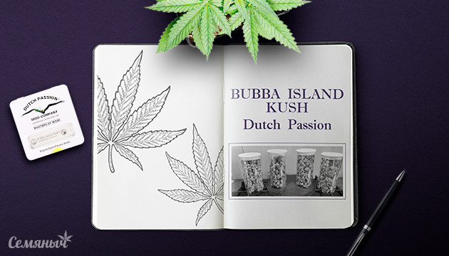Гроурепорт Bubba Island Kush от Dutch Passion