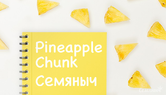Выращивание сорта конопли Pineapple Chunk в индоре