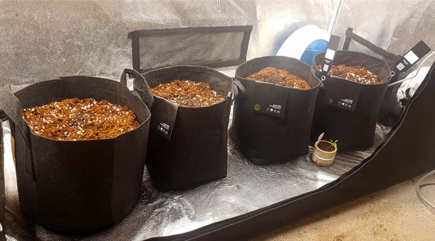 Четыре горшка с супергрунтом