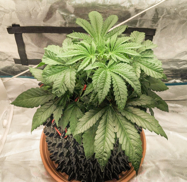 Увеличение мощности света