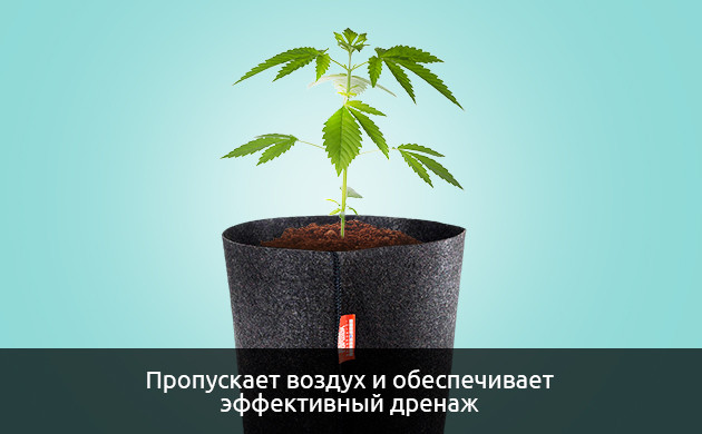 Выращивание на улице в индивидуальных контейнерах