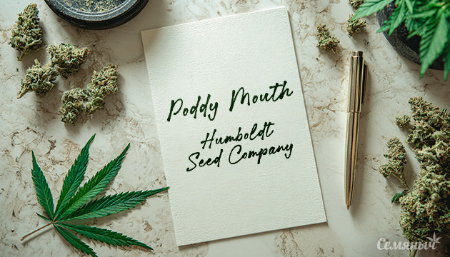 Гроурепорт Poddy Mouth fem от сидбанка Humboldt Seed Company