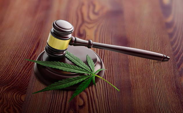 Закон и марихуана в Египте