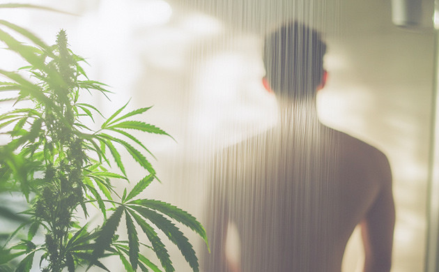 Как избавиться от запаха?