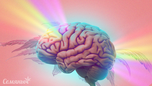 Мозг под воздействием конопли