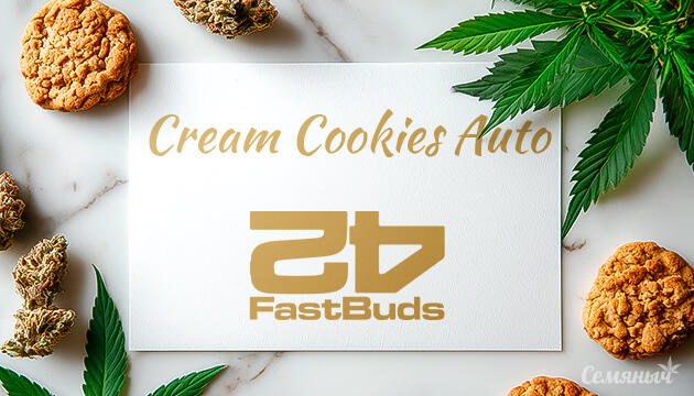 Гроурепорт сорта конопли Cream Cookies Auto от FastBuds