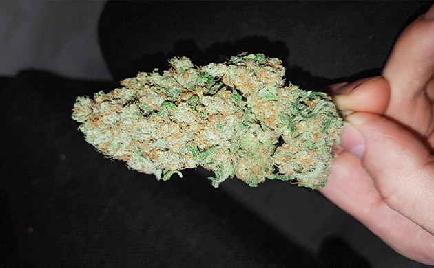 Сбор урожая