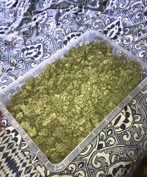 Собранный урожай