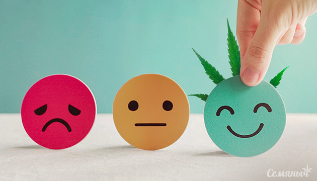 Конопля и психическое здоровье