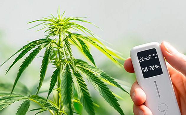 Базовые ориентиры, которых стоит придерживаться