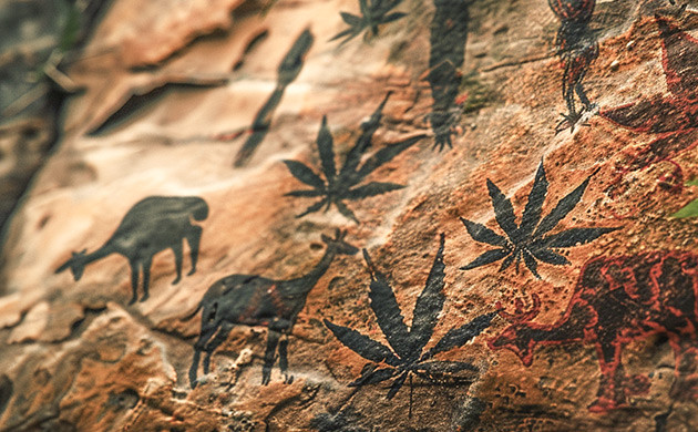 Культура конопли на Африканском континенте