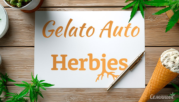 Гроурепорт сорта Gelato Auto от Herbies Seeds