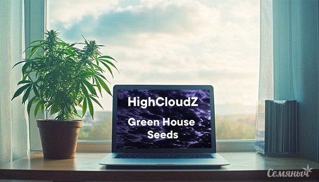 HighCloudZ – выбор для идеального грова