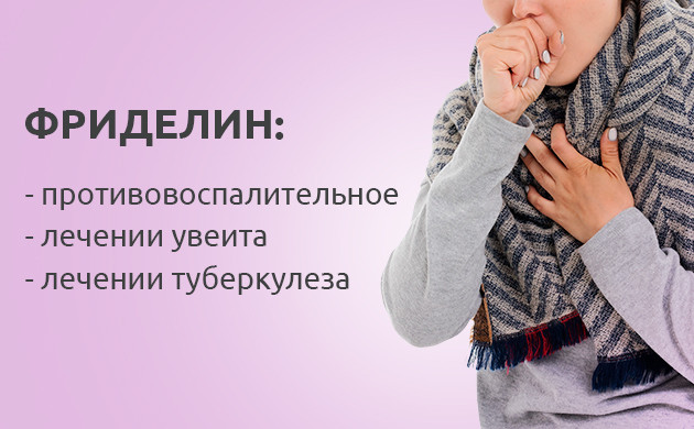 Действие фриделина Польза фриделина для здоровья