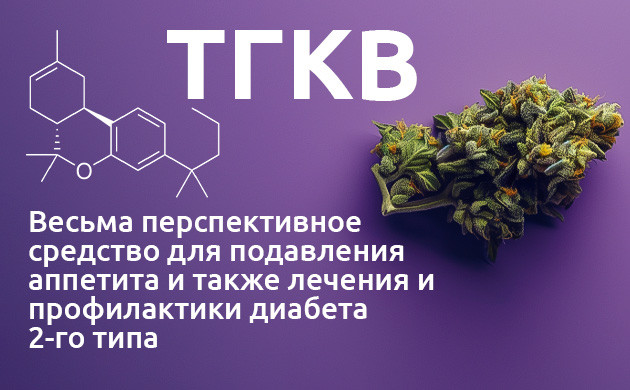 Тетрагидроканнабиварин в лечении диабета