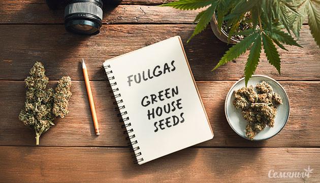 Гроурепорт сорта Fullgas от Green House Seeds