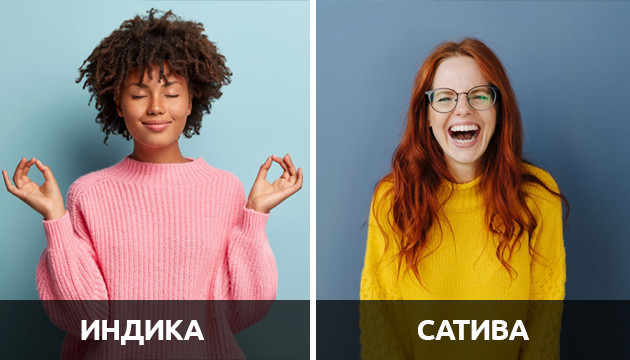 Индика и Сатива