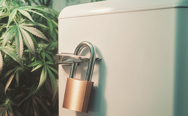 Психогенное переедание и роль каннабиса в его предотвращении