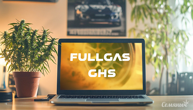 Первое знакомство с Fullgas и полный репорт