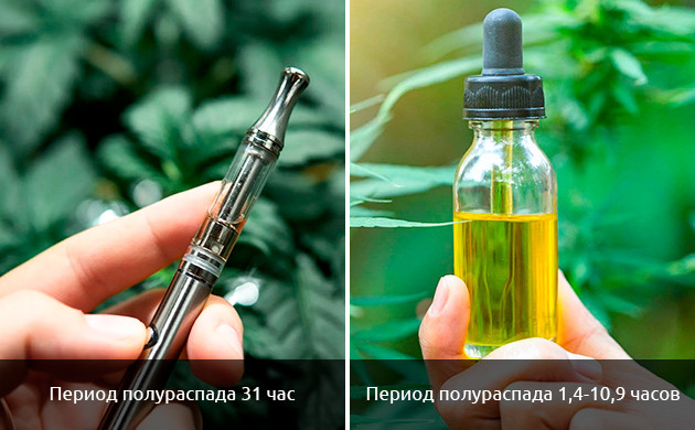 Продолжительность полураспада КБД