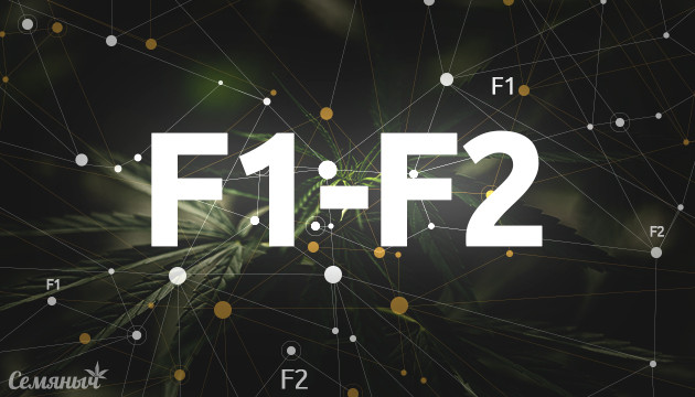 Что означает F1 и F2 в генетике сорта конопли