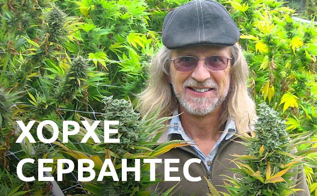 Фото Хорхе Сервантеса