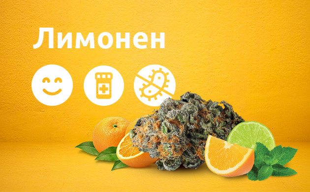 Свойства лимонена