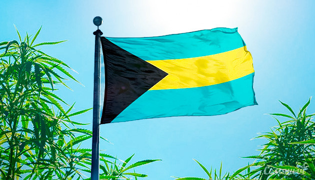 Легалайз на Багамских островах