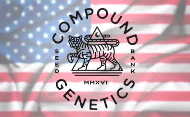 Compound Genetics – представитель американской селекции