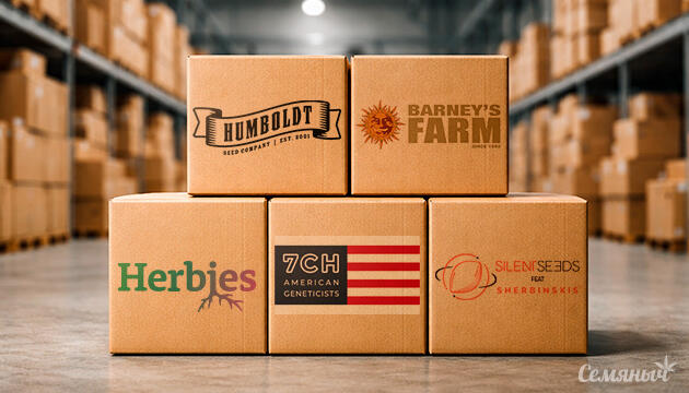 Пополнение склада Пополнение склада на Семяныче