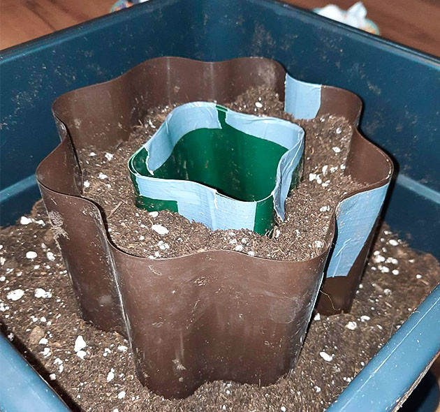 Эксперимент: Горшок в горшке для Euforia X