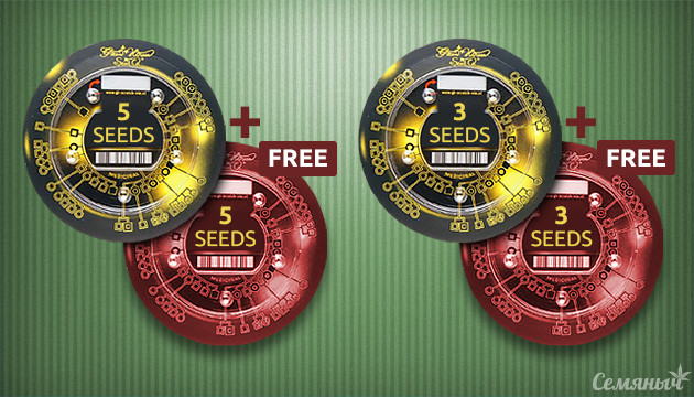 Подарочные упаковки Green House Seeds