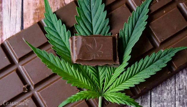 Шоколад с коноплей