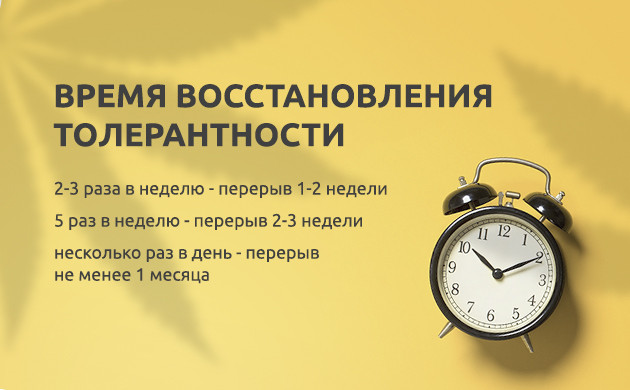 Время восстановления толерантности