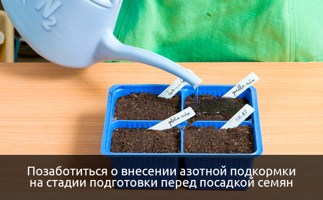 Обогащение питательной среды азотом