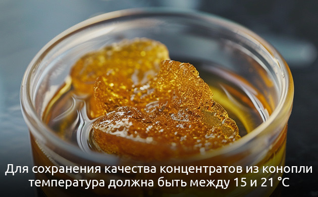 Стабильность каннабиноидов: оптимальная температура для хранения